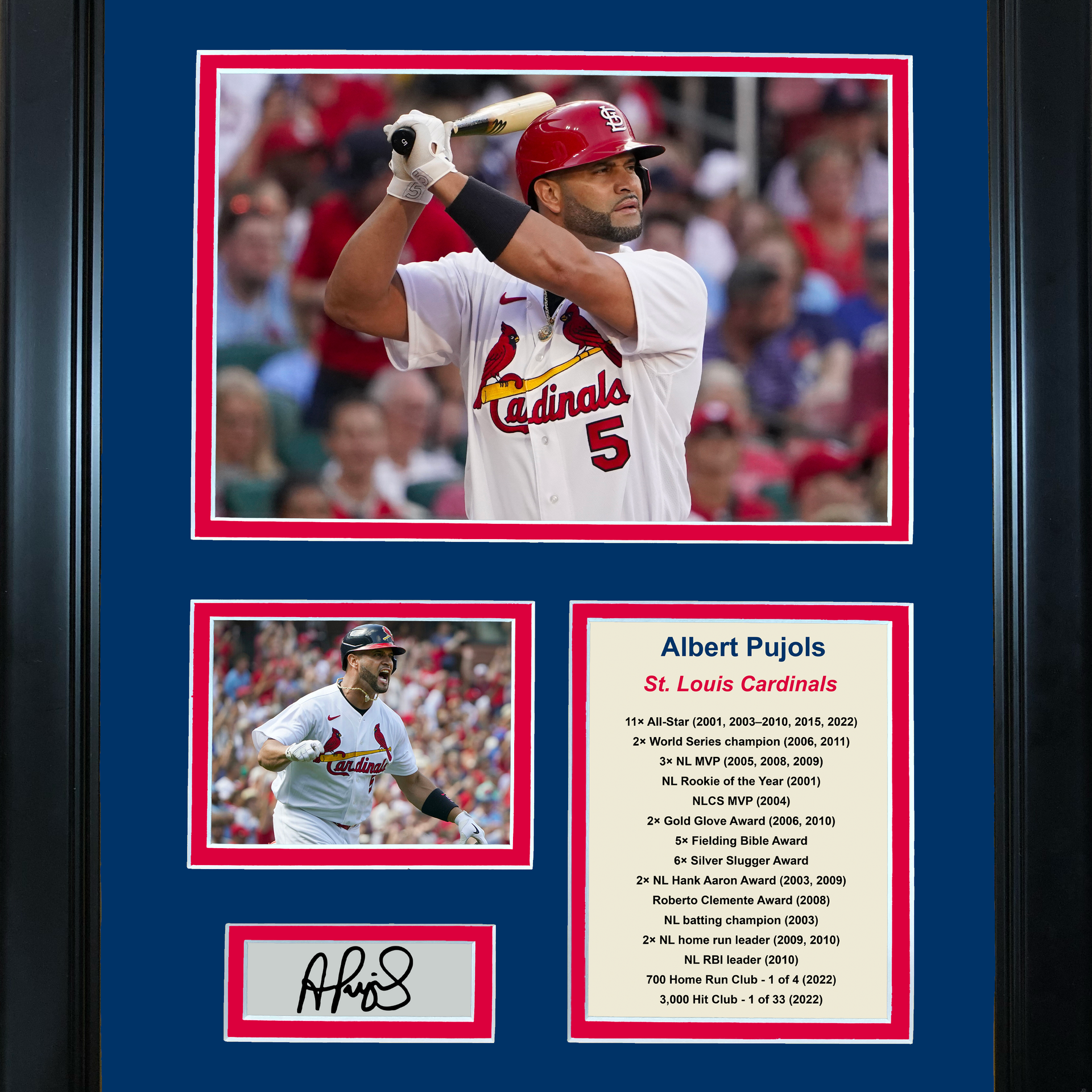 Albert Pujols St. Louis Cardinals Autographed Baseball