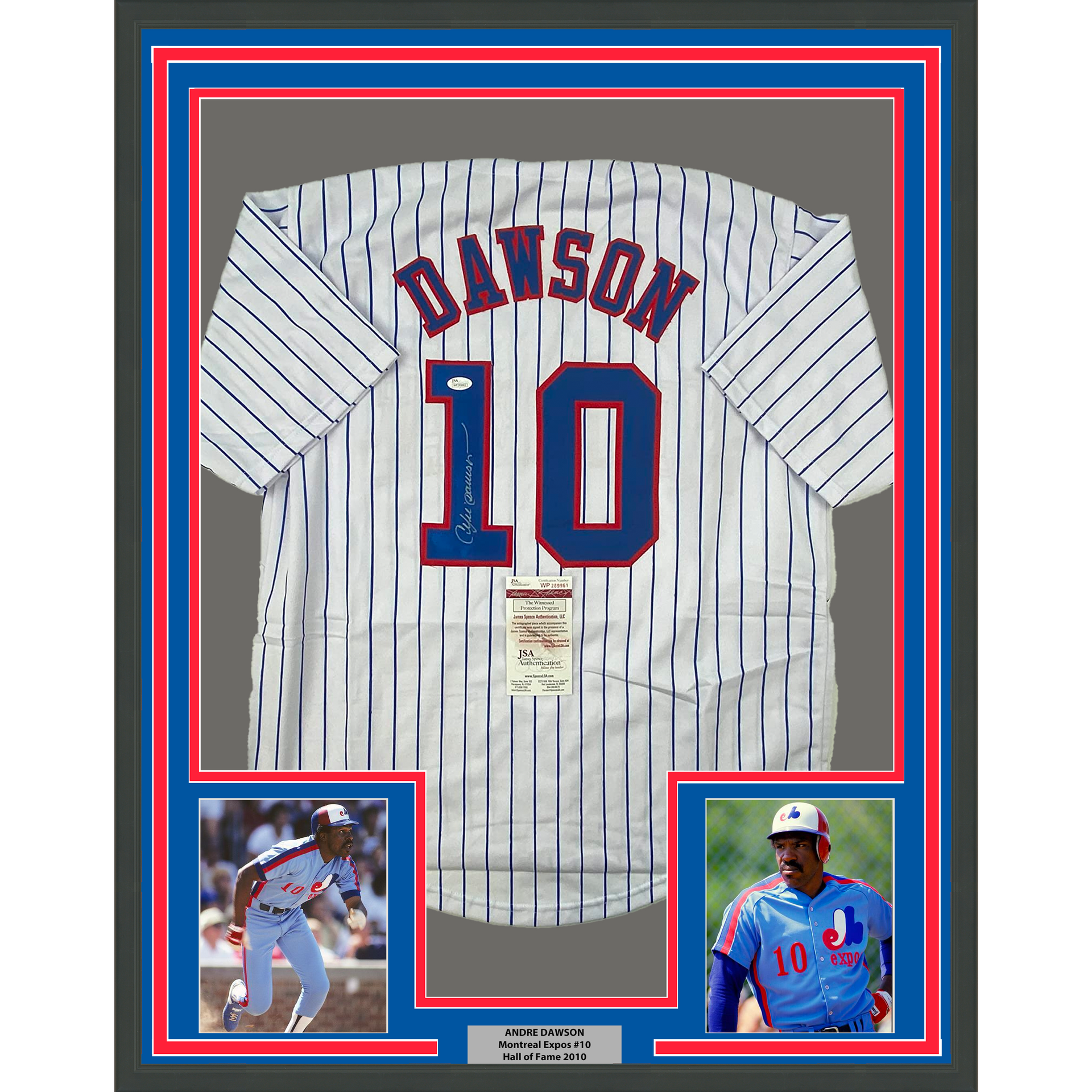 Autographed/Signed Andre Dawson Chicago Blue Pinstripe Baseball Jersey JSA  COA at 's Sports Collectibles Store