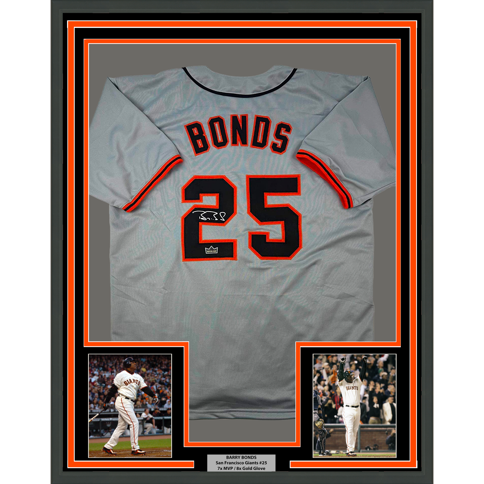 Framed Autographed/Signed Fernando Tatis Jr. 33x42 San Diego Brown Baseball  Jersey JSA COA at 's Sports Collectibles Store