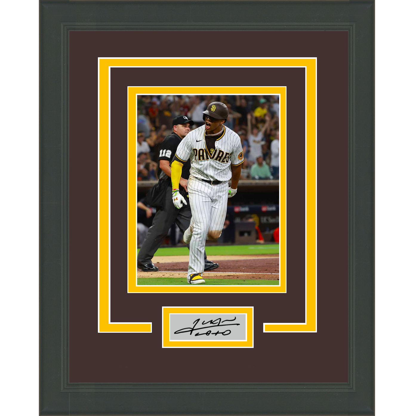 Fernando Tatis Jr. Autographed Signed & Framed Pinstripe Padres