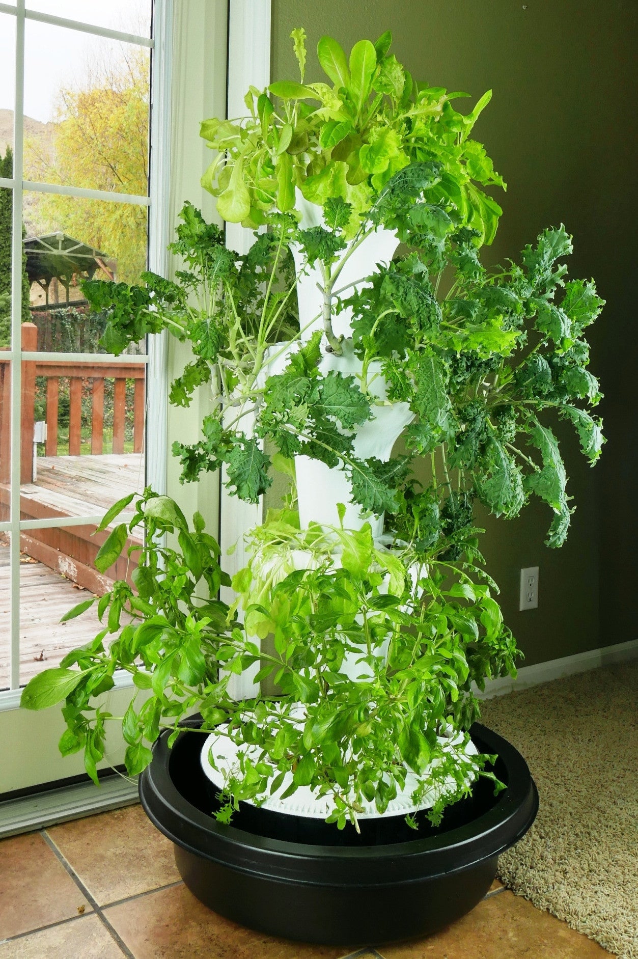 Foody 12 Hydroponic System Foody Vertical Gardens