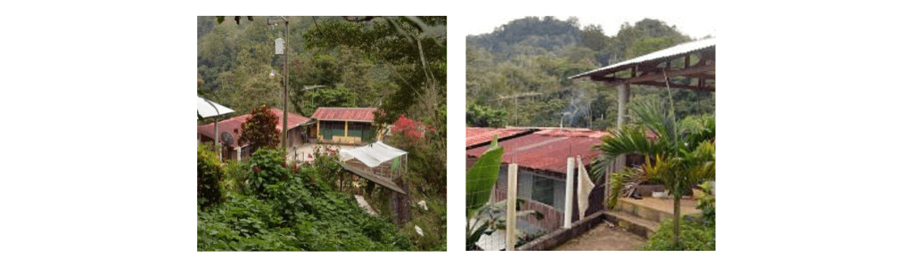 Ferme familiale de café au Honduras