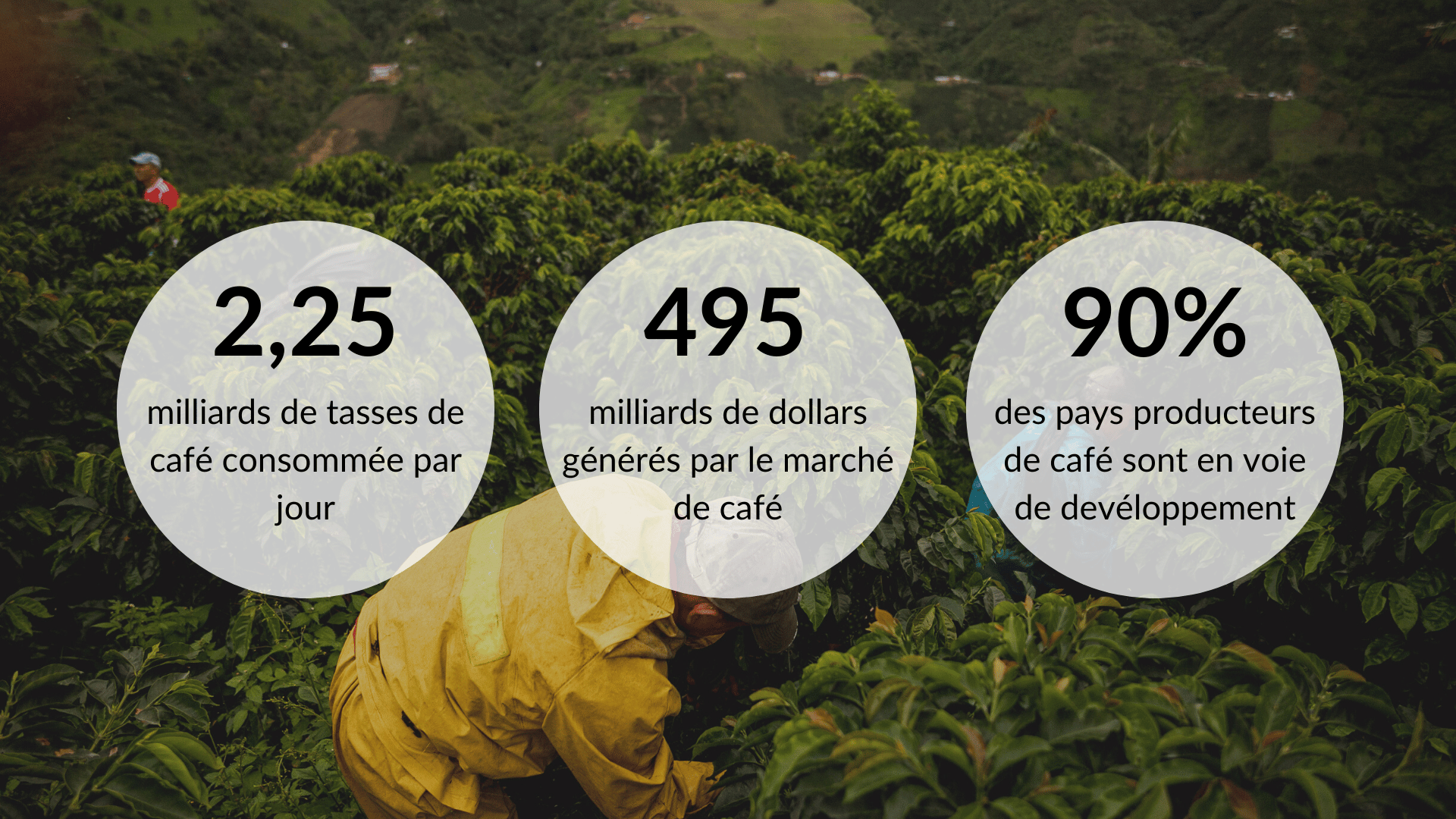 chiffres de l'importance du café