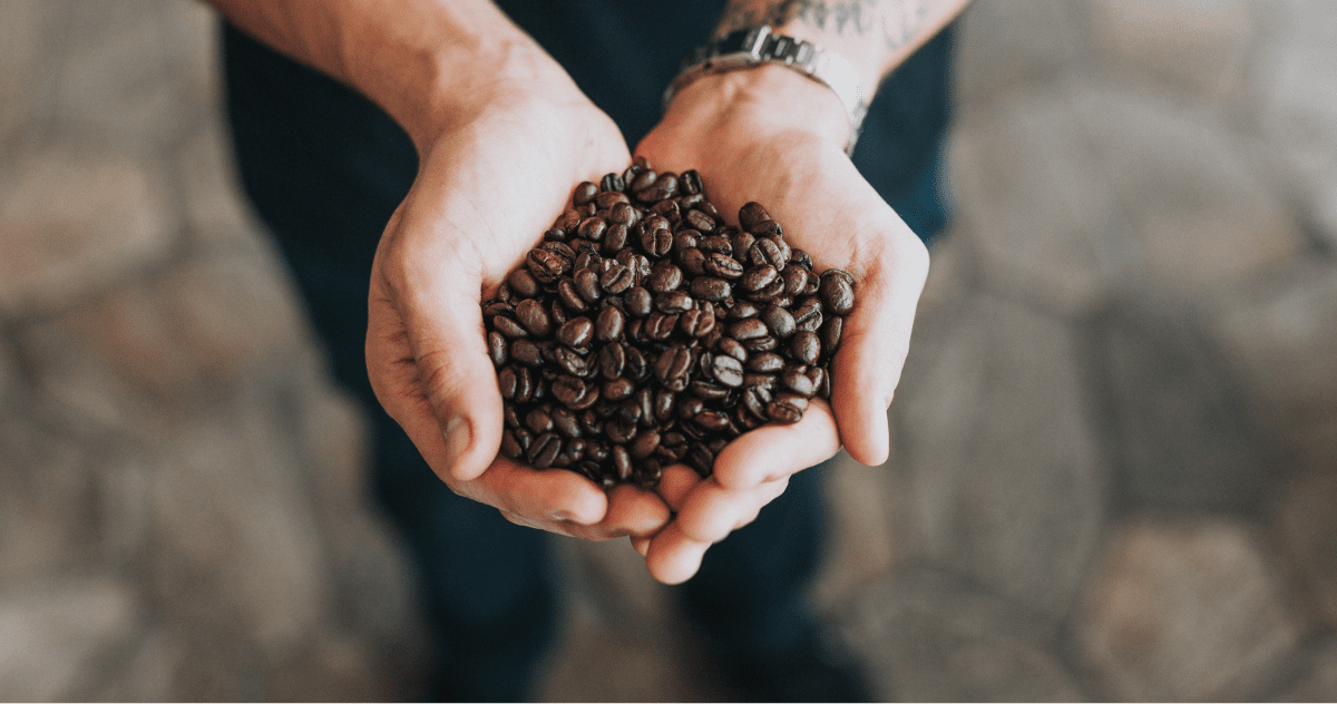 café en grain écologique