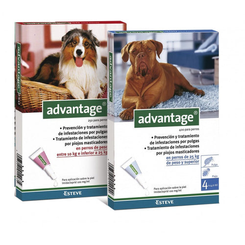 Advance VET Gastroenteric - Pienso para perros adultos