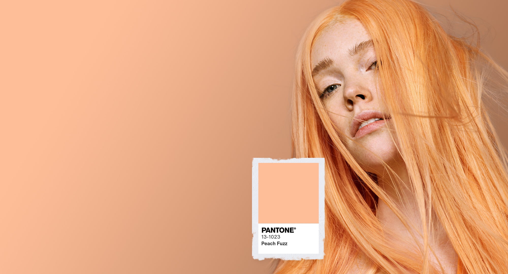 Pantone 2024 Color of the Year Peach Fuzz