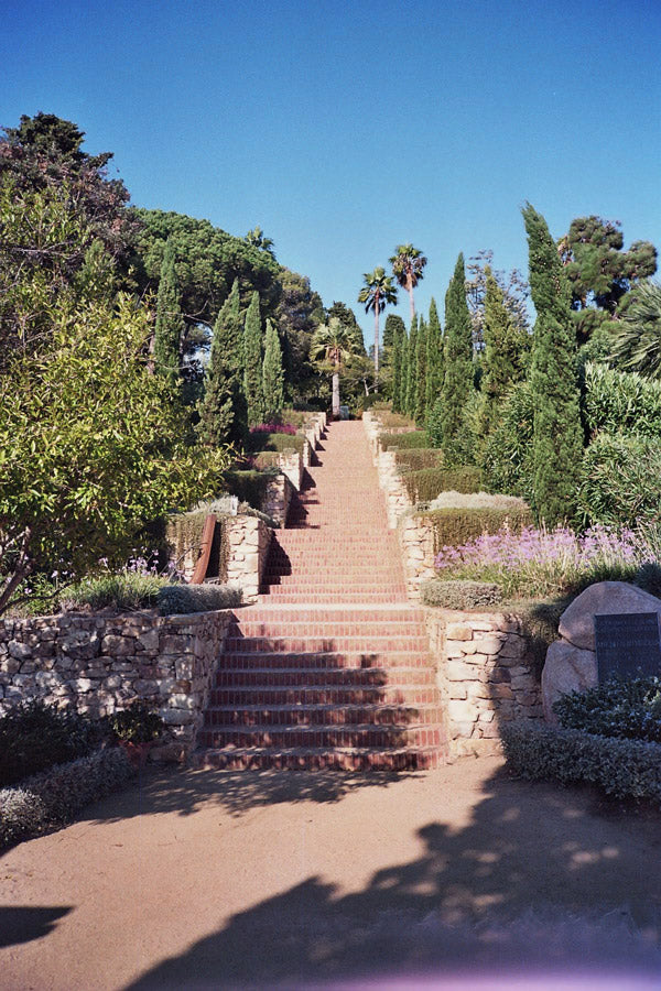 Marimurtra Garden Stairs