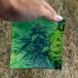 11*11cm玻璃卷烟盘  小号玻璃卷烟操作盘Glass Cigarette Tray