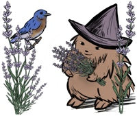 Lavender Forest hedgehog hedge witch holding an armful of lavender sprigs. A bluebird sits in another bunch of lavender.