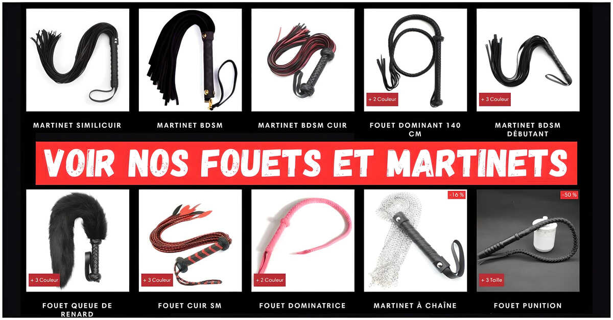 Fouets et Martinets BDSM