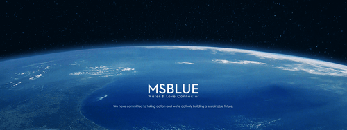 Our Story – MSBLUE Jewelry