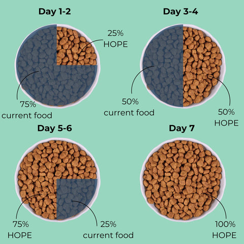 How to feed a rotational diet for dogs