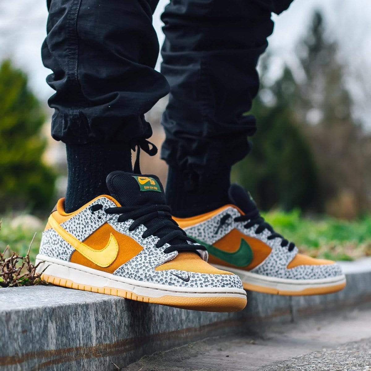 Sb Dunk Low Safari On Feet | forum.iktva.sa