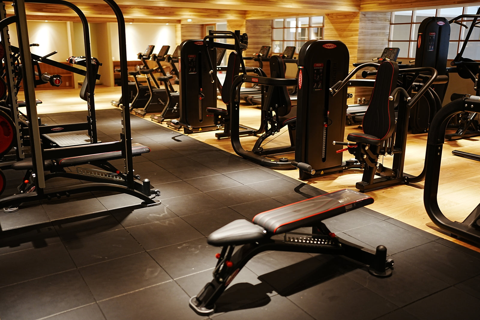 Panatta machine and gym mat Hotel Seymour Training Gym