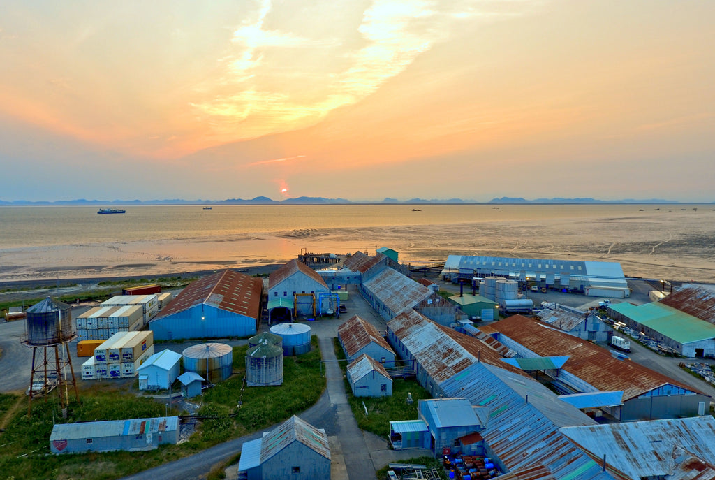 Bristol Bay cannery