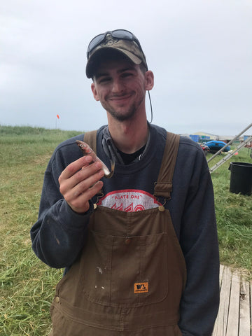 Cucumber fish challenge in Bristol Bay Alaska