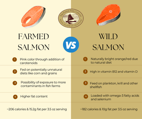 wild caught versus vs farm raised salmon graphic