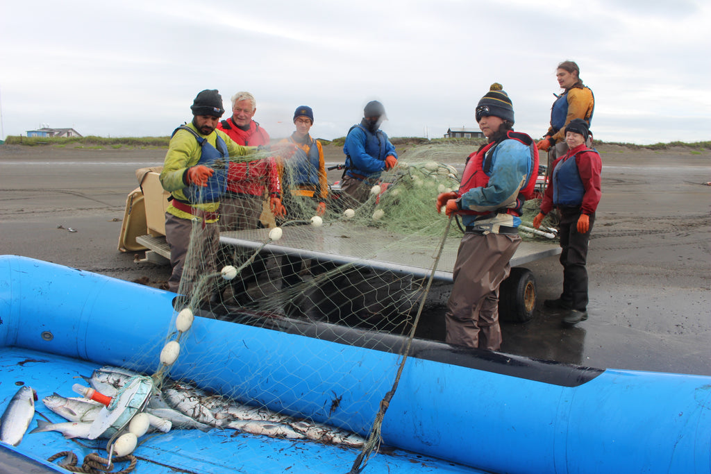 the popsie fish company set net sockeye salmon fishing