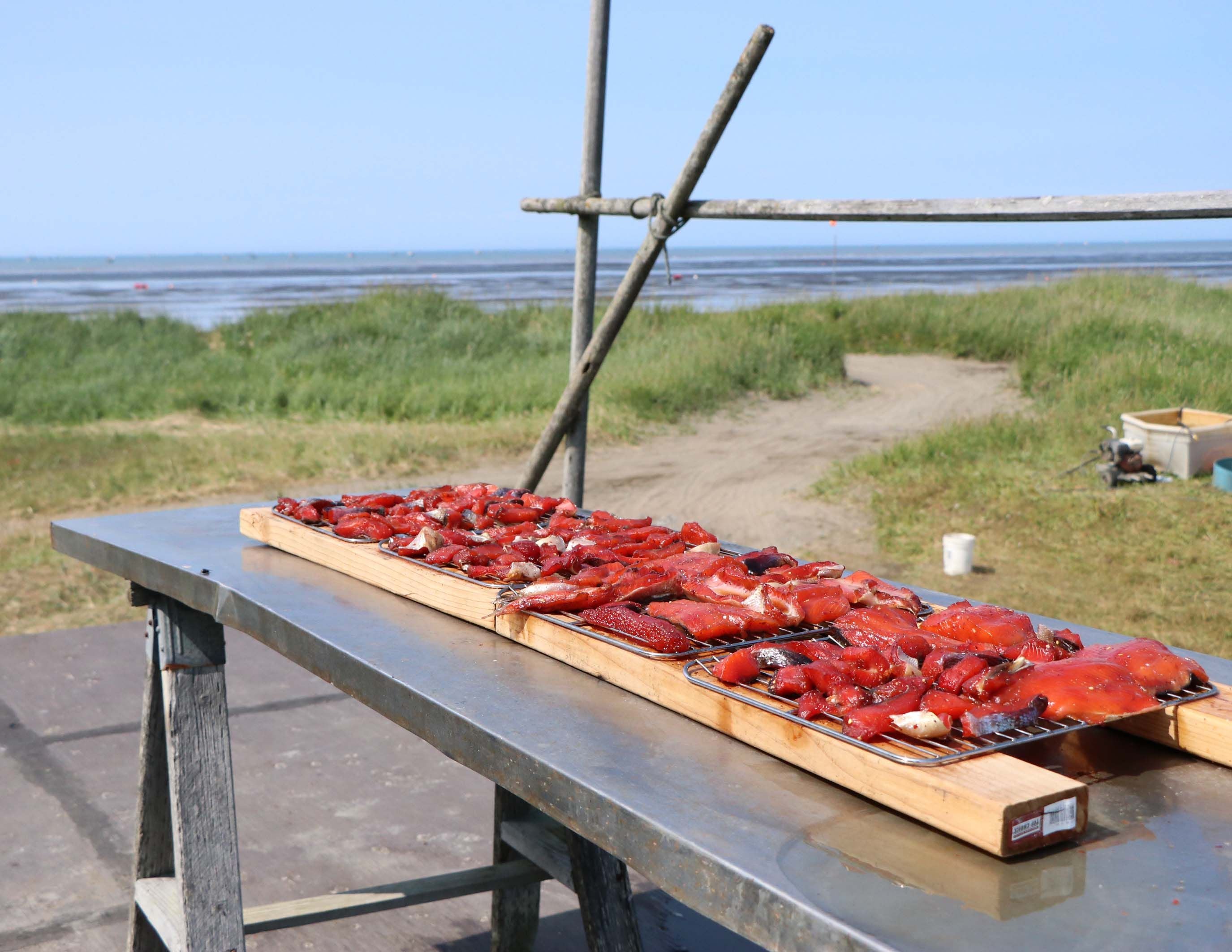 Smoking sockeye salmon in Bristol Bay, drying racks