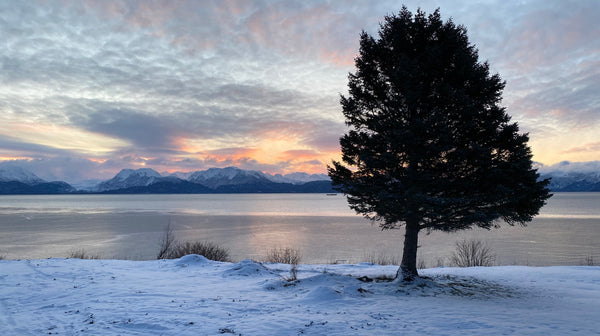 homer alaska sunset sunrise view picture