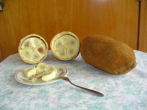 fruit de cupuaçu prêt à consommer frais.