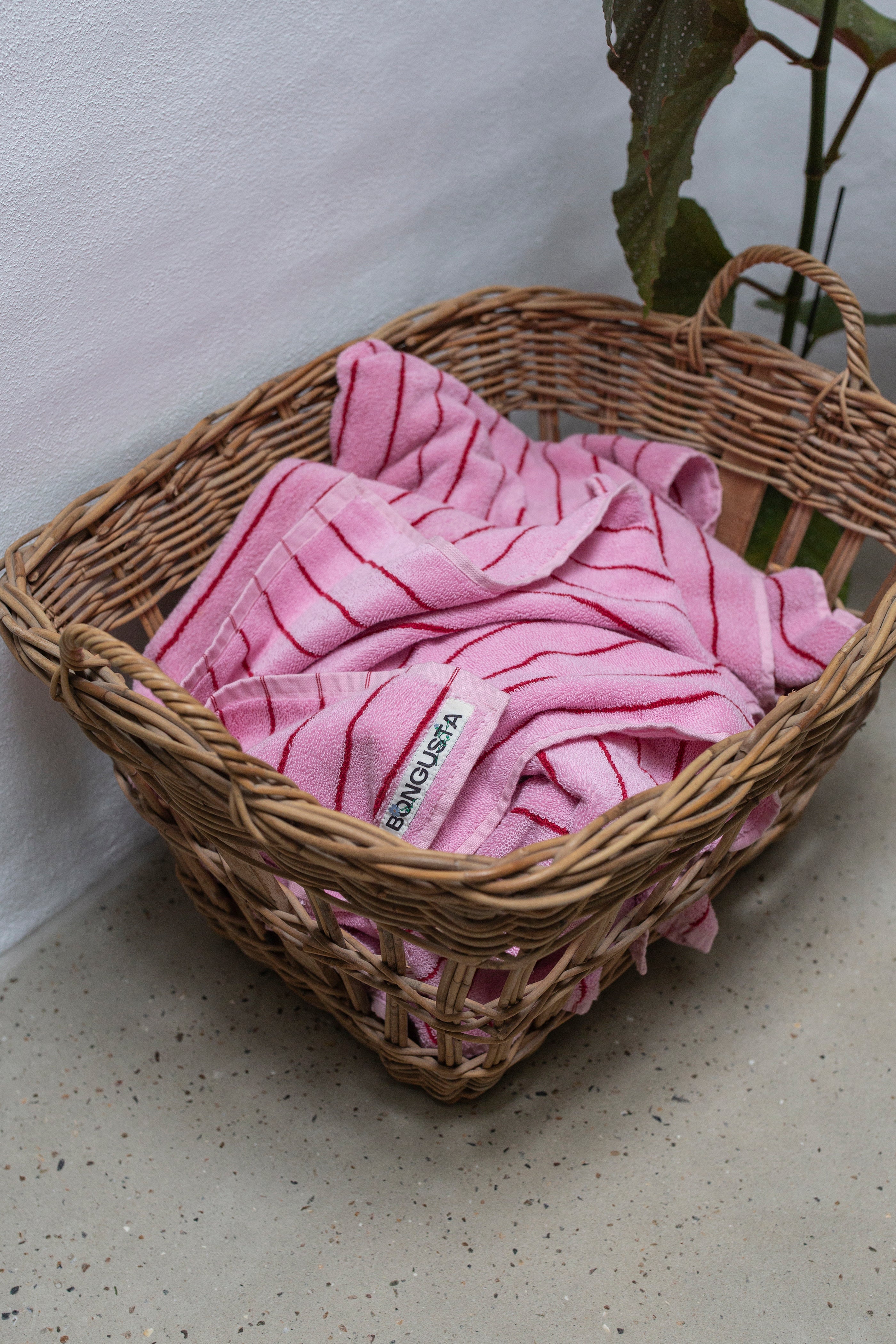 Taabu Ballet Pink Padded Wirefree Striped Cotton Bra