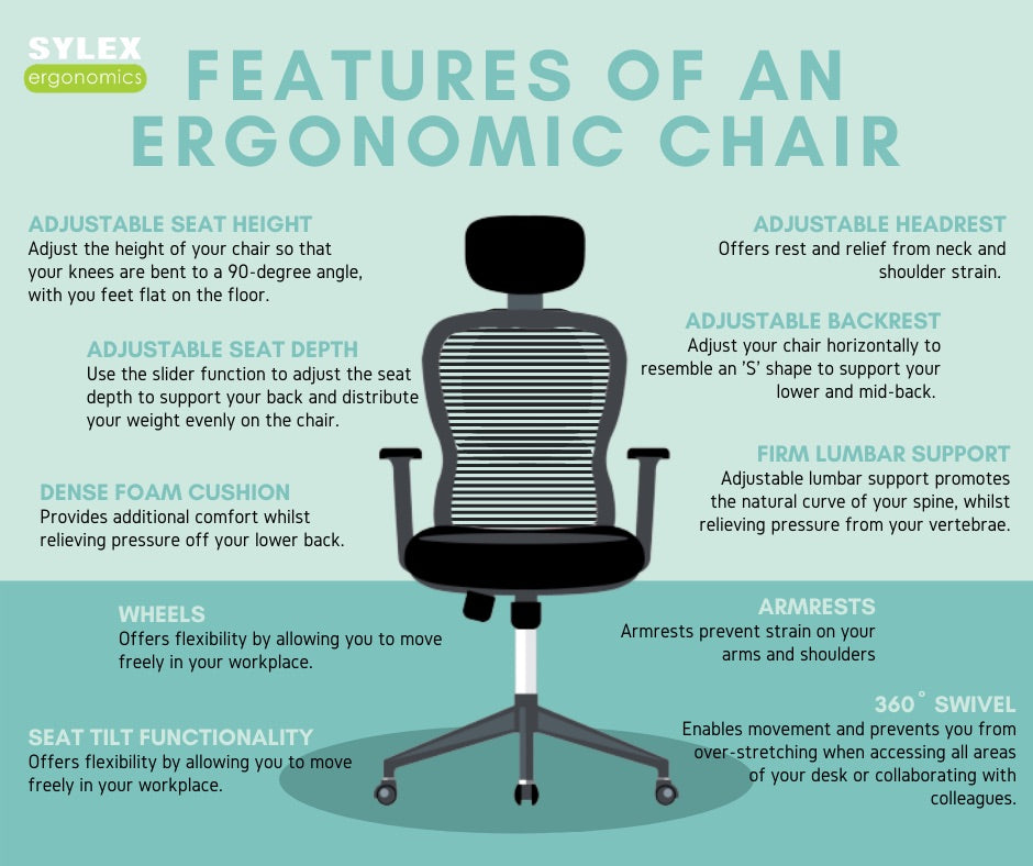 Features of an Ergonomic Office Chair Sylex Ergonomics