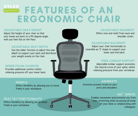 What Is an Ergonomic Workspace? Ergonomic Explainer, Health