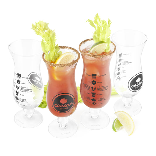 Bloody Mary Diagram Glassware - Set of 2