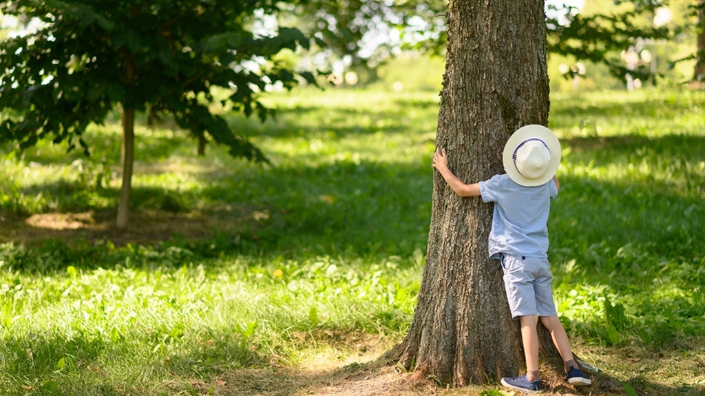 enfant admirant un arbre