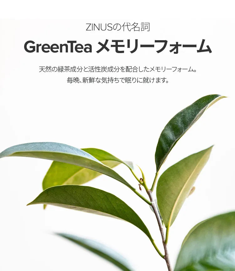 Green Tea メモリーフォーム