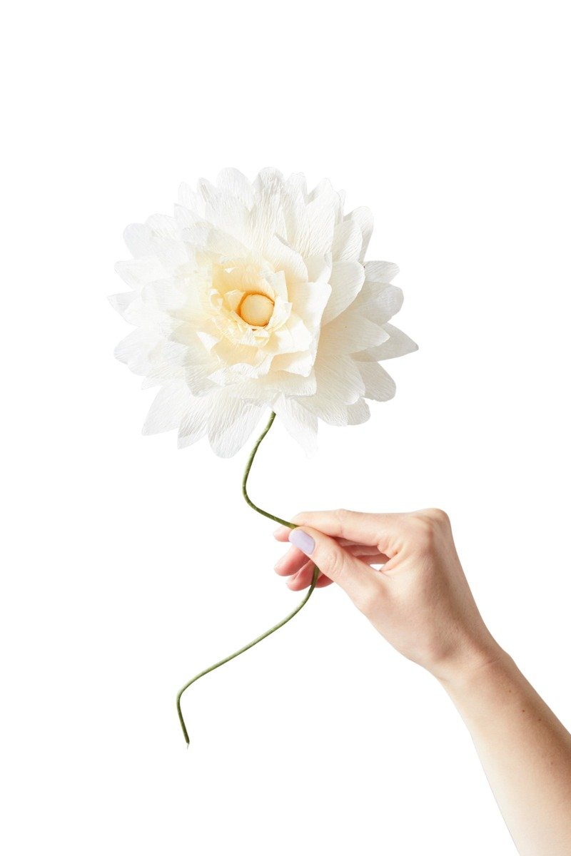 Billede af Studio About - Grand Dahlia papirblomst - sand