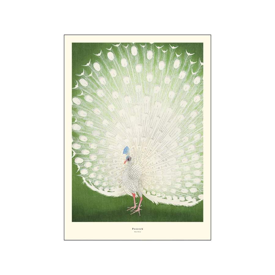 Billede af Poster & Frame - Peacock plakat