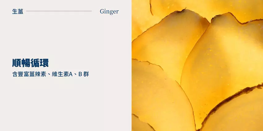 纖舒敏-草本酵素-生薑