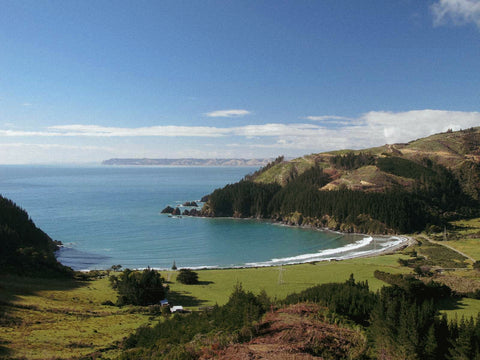 Rarangi, Cloudy Bay, Marlborough. Paddleboarding, Top of the South