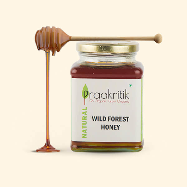 Wild Forest Honey 500g - Natural