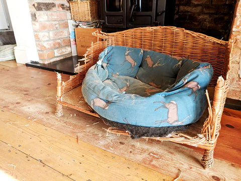 Papasan dog bed deals
