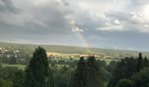 Jahresrückblick 2023, Christin Bollow, Ausblick Weserbergland