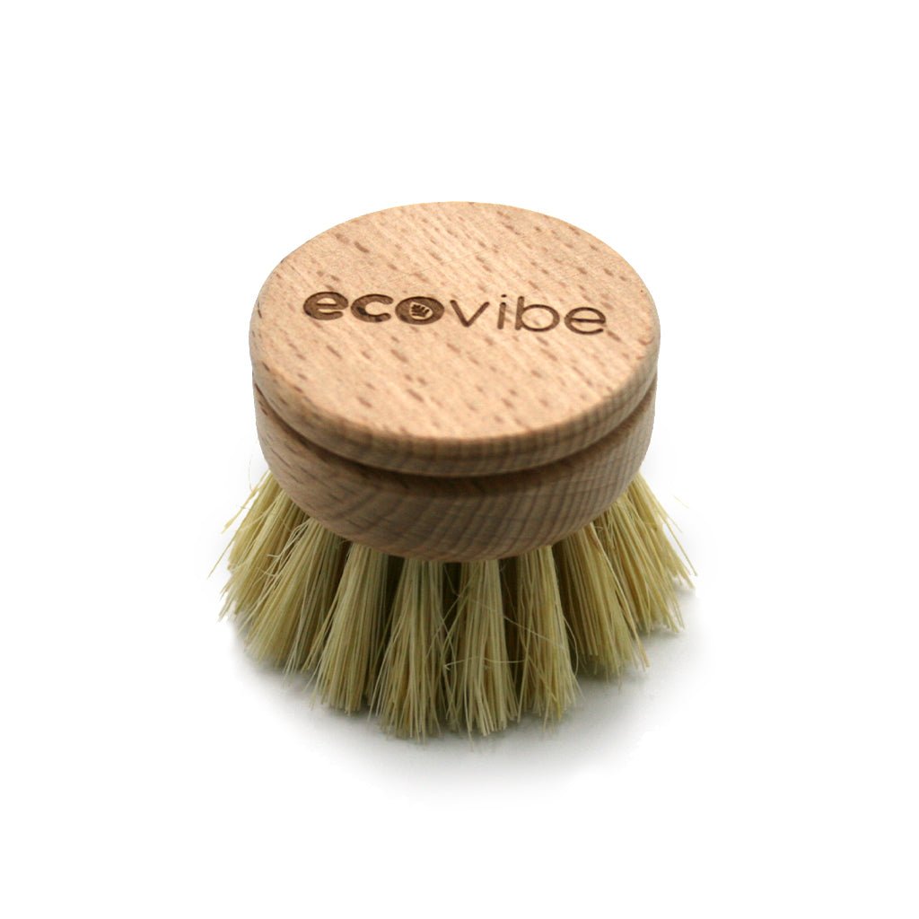 https://cdn.shopify.com/s/files/1/0590/8830/6333/products/ecovibe-wooden-dish-brush-replacement-head-586602_1024x1024.jpg?v=1684152968