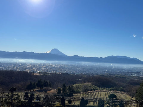 景色（富士山）