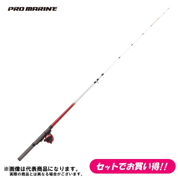 ワカサギ釣り入門セット PG ソリッドわかさぎセット60 ワカサギを釣