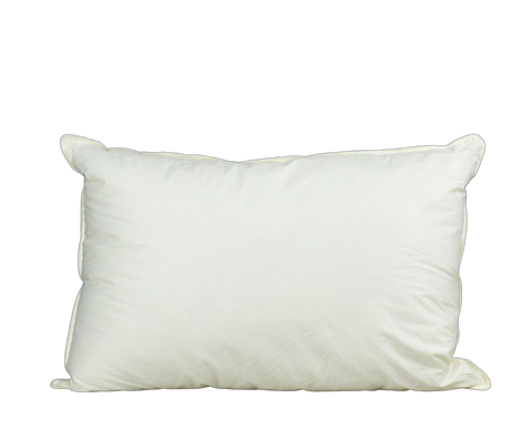 Aquaplush Pillow