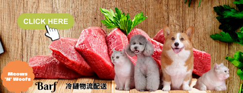 Brown and Red Fresh Meat Premium Quality Minimalis Simple Characteristic Butcher Shop  Instagram Post (960 x 370 像素) (1).png__PID:ddf15d2c-c473-42cd-8dc3-3c683b3c6801