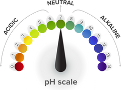 pH scale showing dial at pH 7 (neutral)