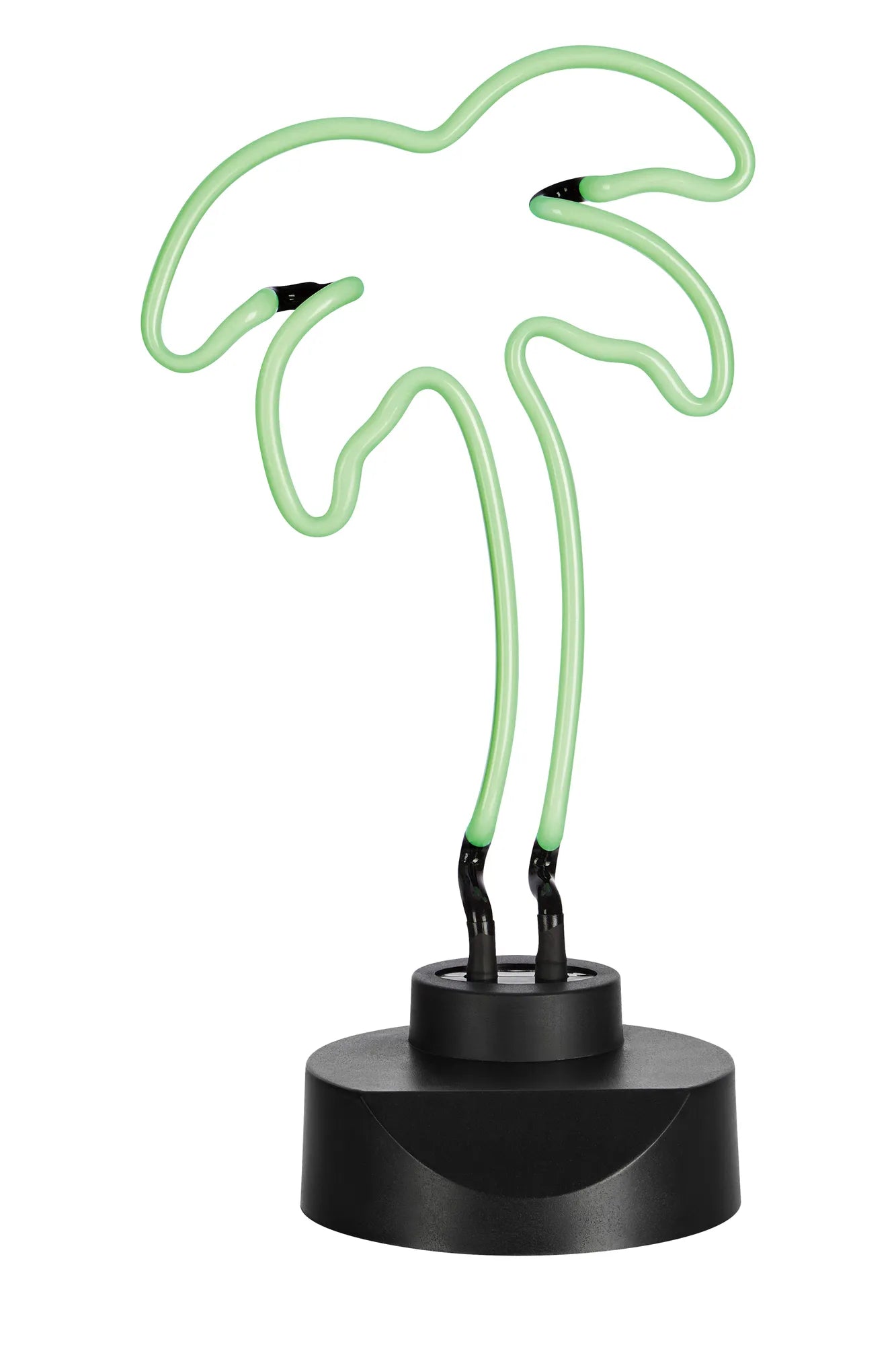 Läs mer om Texas Neonlampa Palm