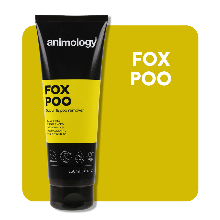 does fox poo look like dog poo