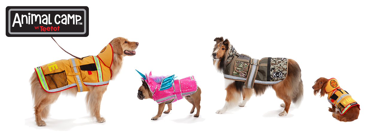 Animal Camp Dog Costumes by Teetot - Golden Retriever wearing a Firefighter Costume, Pug wearing a Unicorn Costume, Shetland Sheepdog wearing a Special Forces costume and a Dachshund wearing a Firefighter costume.