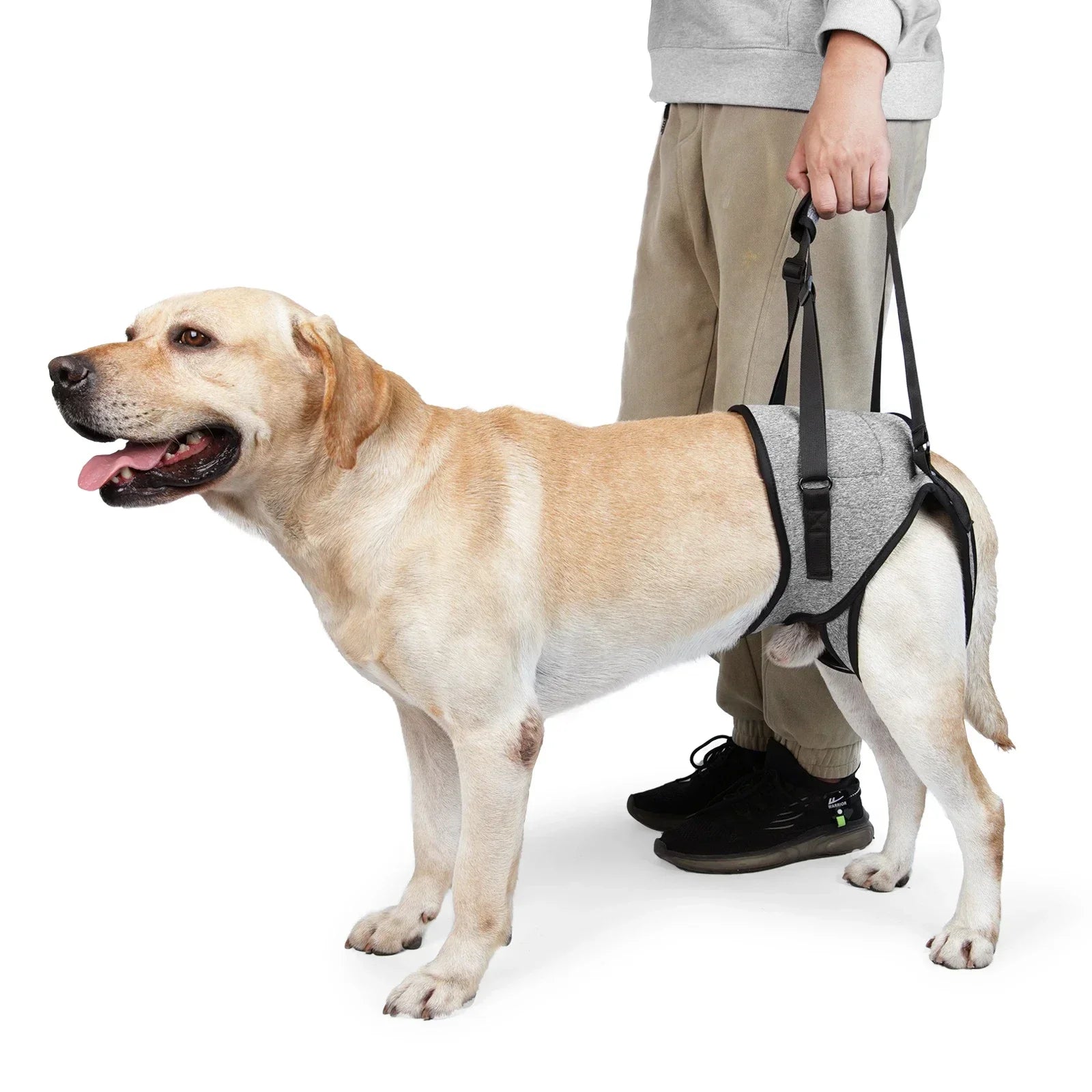 Adjustable Dog Lift Harness for Rear Leg Support