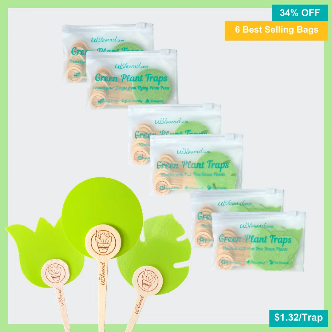 Image of Essential Sticky Traps 60 Pack