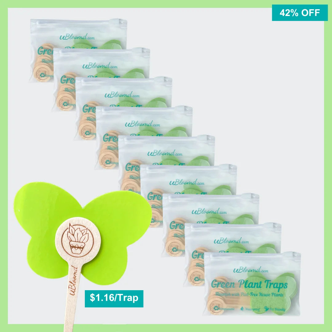 Image of Aesthetic Butterfly 90 Traps Pack